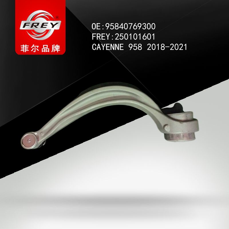 FREY Рычаг передний 250101601 (OEM VAG 95840769300)