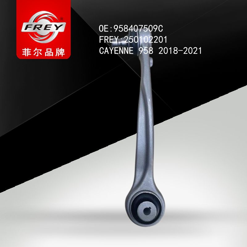 FREY рычаг передн 250102201 (OEM Porsche 958407509C)