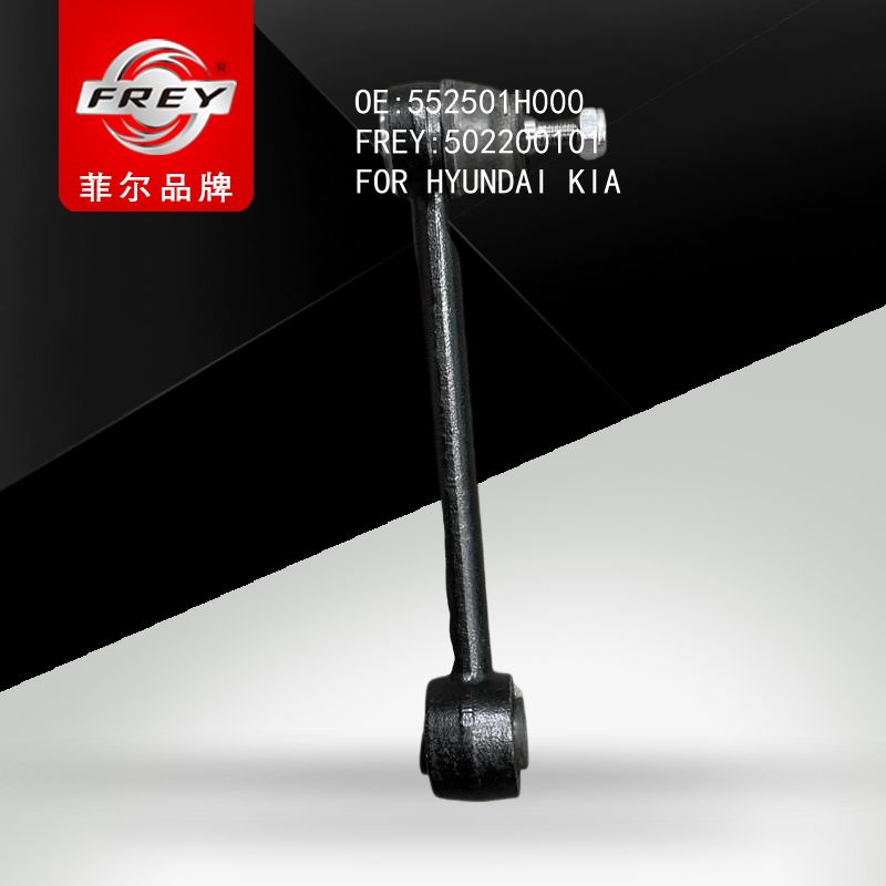 FREY Рычаг задней подвески, 502200101 (OEM 552501H000 Hyundai/KIA)