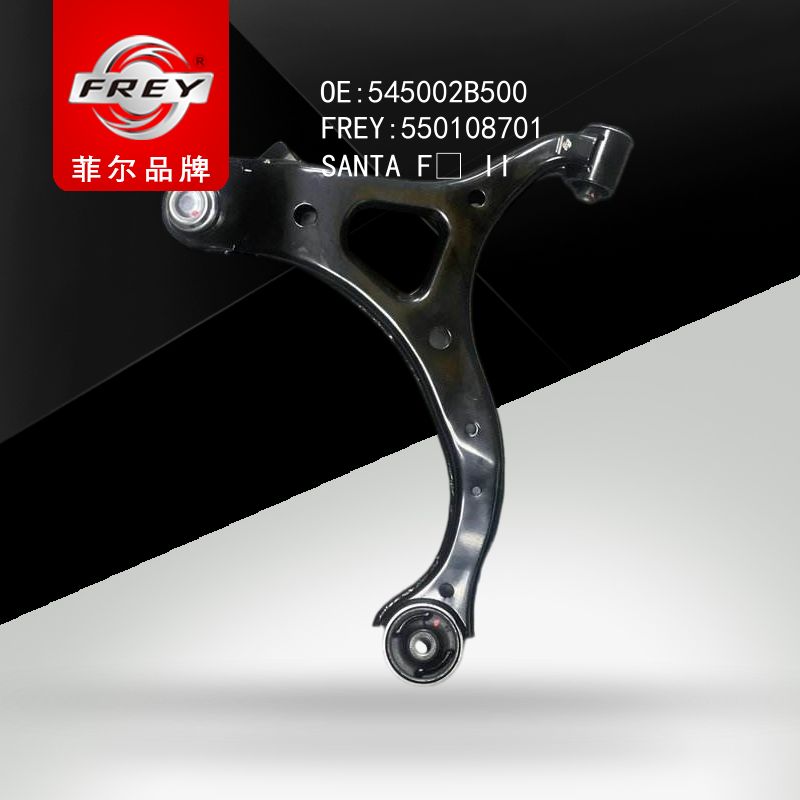 FREY Рычаг передний левый, 550108701 (OEM 545002B500 Hyundai/KIA)