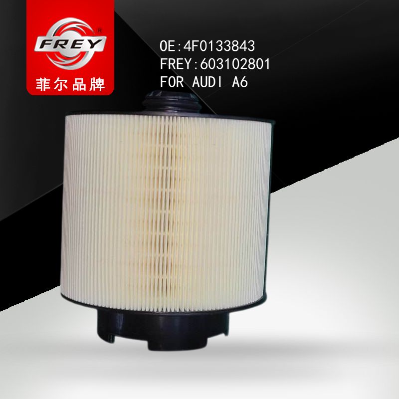 FREY Фильтр воздушный, 603102801 (OEM 4F0133843 VAG)