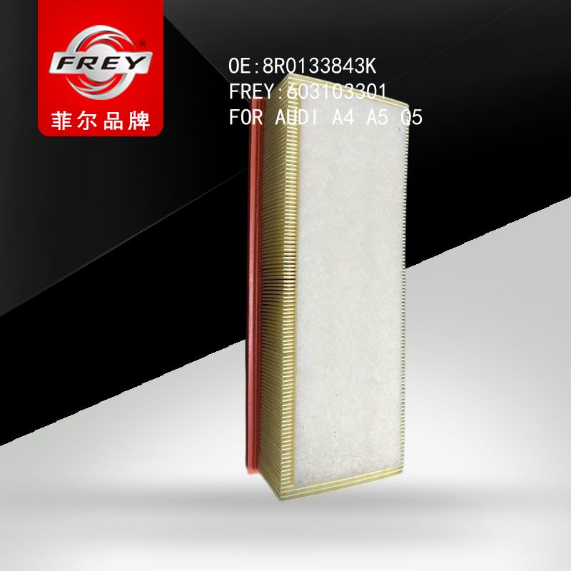 FREY Фильтр воздушный, 603103301 (OEM 8R0133843K VAG)