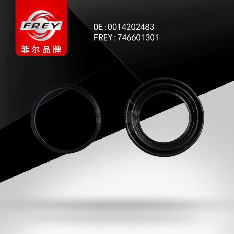 FREY Ремкомплект тормозного суппорта 746601301 (OEM Mercedes Benz A0014202483)