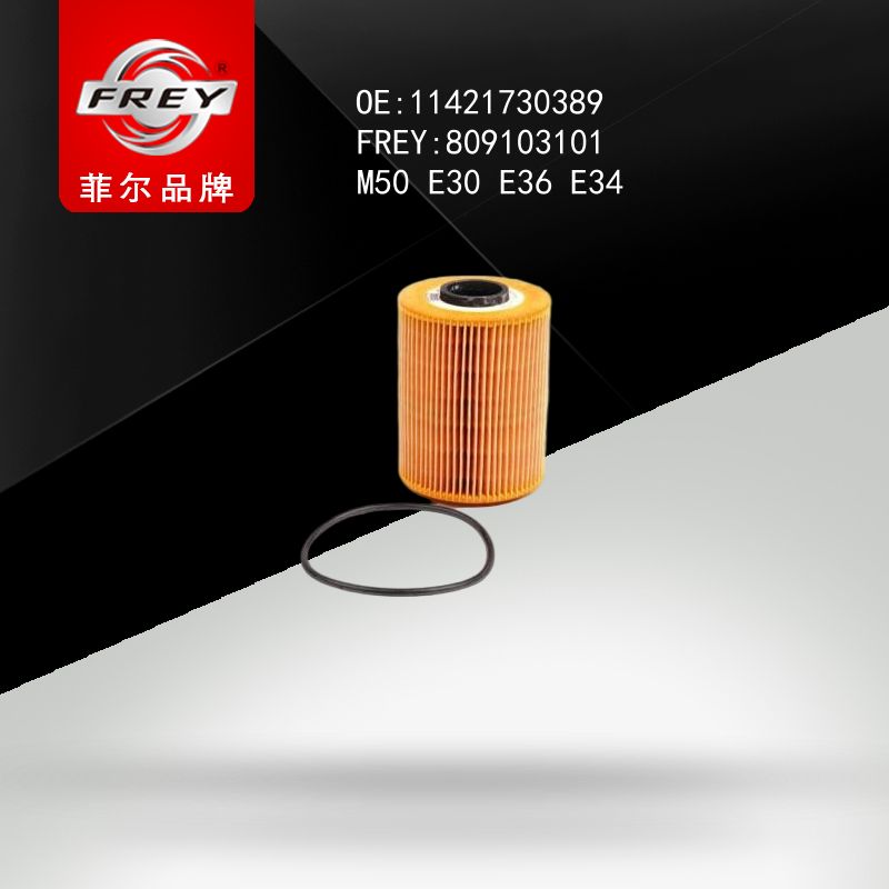 FREY Фильтр масляный 809103101 (OEM BMW 11421730389)