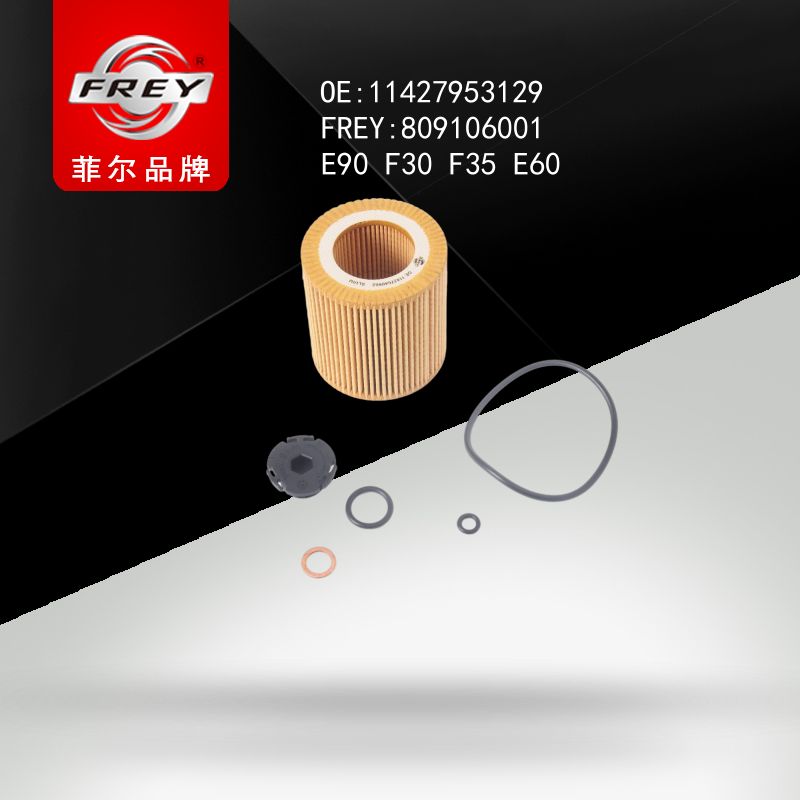 FREY Фильтр масляный к-т с прокладками и пласт. пробкой, 809106001 (OEM 11427953129 BMW)
